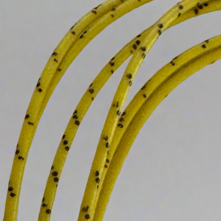 Ignition Wire